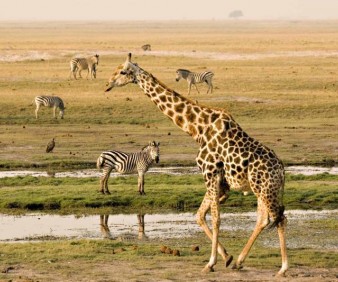 South Africa cultural Safari tours